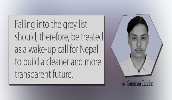 Call To Get Nepal Out Of Grey List