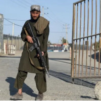 Don’t sit on the toilet for more than 10 minutes, doctors warn