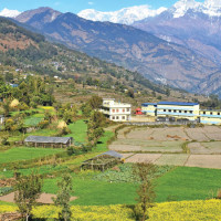 Gen Z wounded rejecting IDs in fear of retribution