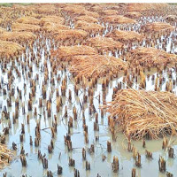 Shram Sanskriti Party's initial commitments made public