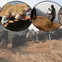 1.5 mln Afghans live with serious disabilities, many victims of conflict: UN