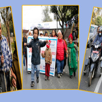 Banana farming in Chitwan reports TR4 infection