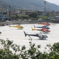 Niguro serves as a reliable source of income