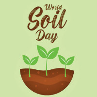 Rai calls for global solidarity among LDCs