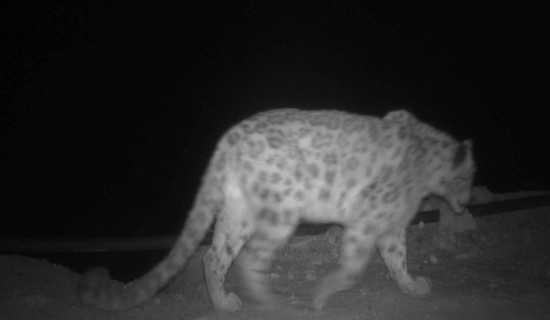 Biratnagar Kings slump to third defeat in NPL