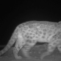 Today's need is to unite communists: Chair Prachanda