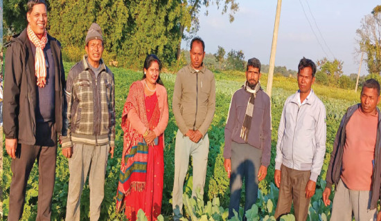 Model farmer turns struggles into success