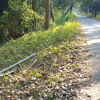 Half a million students preparing for this year’s SEE