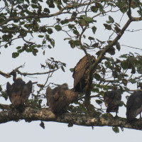 Human Factor Key To Poll Security