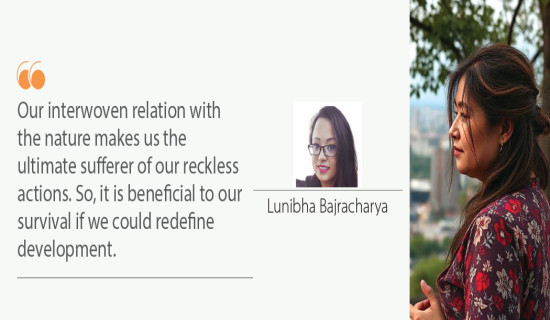 Tree Fallen, Birds Gone And Peace Vanished