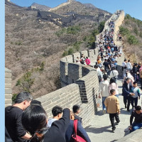 Policy Needed Against Antimicrobial Resistance