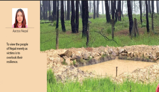 COP30: A Call For Accelerated Climate Action 