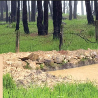 Israel-Hezbollah ceasefire takes effect, civilians head back to south Lebanon