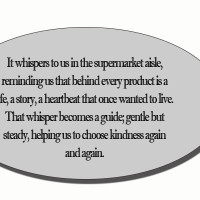 Cold drives sheep to lower valleys