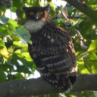 Nepal makes stance clear on boundary disputes