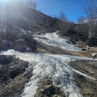 Gen Z protest: Four journalists injured