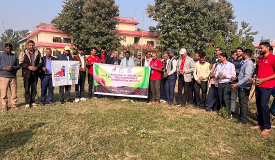 Moringa plantation in Sarlahi to mark World Soil Day