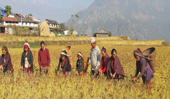 Memoir of Citizens Bank ex-CEO Bhandari hits market