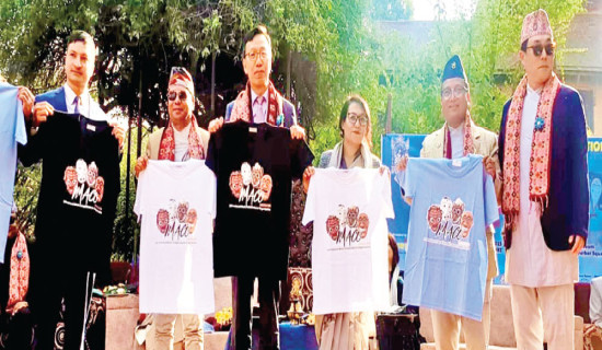 Axis performing on December 2