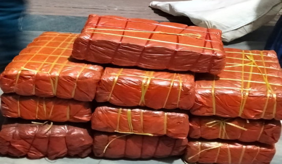Police seize 51 kg of marijuana in ambulance