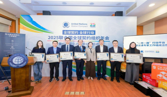 Chinese companies as outliers amid faltering global green transition