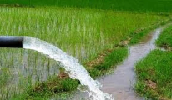 Irrigation facility built in Khajuwapatti