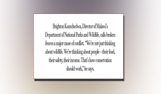 Coexistence, Not Conflict