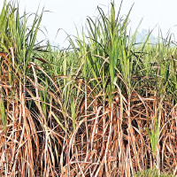 Biden administration announces cyber security labeling programme for smart devices