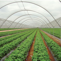 Joint efforts must to wipe out corruption: CM Acharya