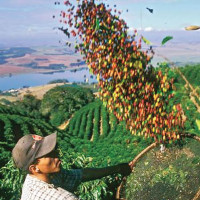 Seven women honoured with ‘She Leads Icon’