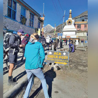 A warming island's mice are breeding out of control and eating seabirds