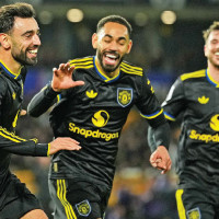 Critically endangered vultures vanish after crossing into India