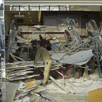 Critically endangered vultures vanish after crossing into India