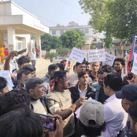 Critically endangered vultures vanish after crossing into India