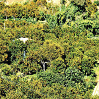 Narrow Trade Deficit