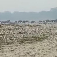 2nd edition of 'Samalochak Ka Aankhama Harihar Khanal' launched