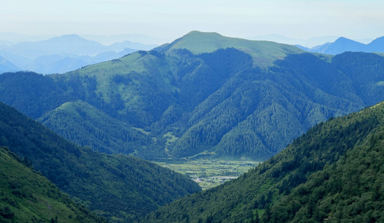 Coordinator Dahal for full implementation of human rights