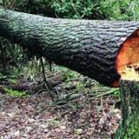 'Be extra cautious in maintaining health post festival seasons'