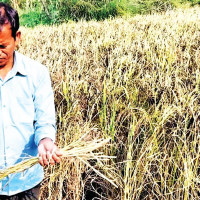 Missing girl found after nine years recounts ordeal