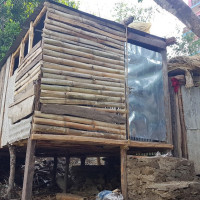 Apple orchards in Mustang (Photo Feature)