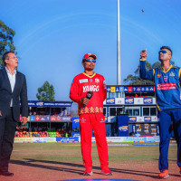 Save migratory birds from light pollution