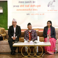 Strengthen safe zone for vultures