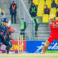 Save migratory birds from light pollution