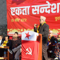 Elephants gifted to Qatar Amir await departure date