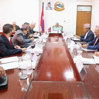 Elephants gifted to Qatar Amir await departure date