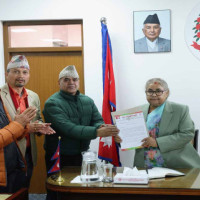 Elephants gifted to Qatar Amir await departure date