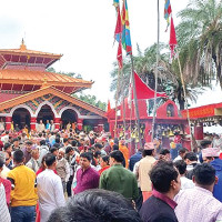 Status Of The Bengal Monitor Lizard