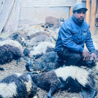 Nepal Sambat 1144 celebration (Photo feature)