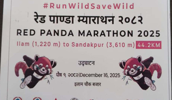 Red Panda Marathon in Ilam on December 16