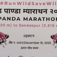 Red Panda Study Centre established